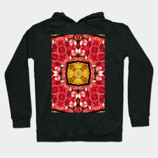 Geometric pattern of yellow and red roses Hoodie